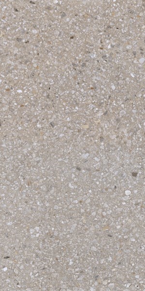Dalle "Lugo" Grise 60 x 120 cm