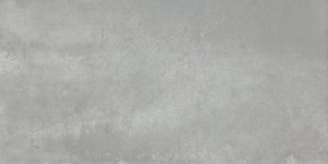 Dalle "Tami" Gris clair 30 x 60 cm