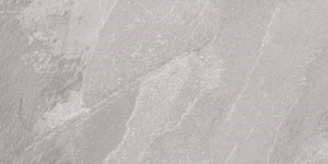 Dalle "ProSlate" Gris clair 30 x 60 cm