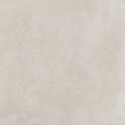 Dalle "Egnach" Gris clair 80 x 80 cm