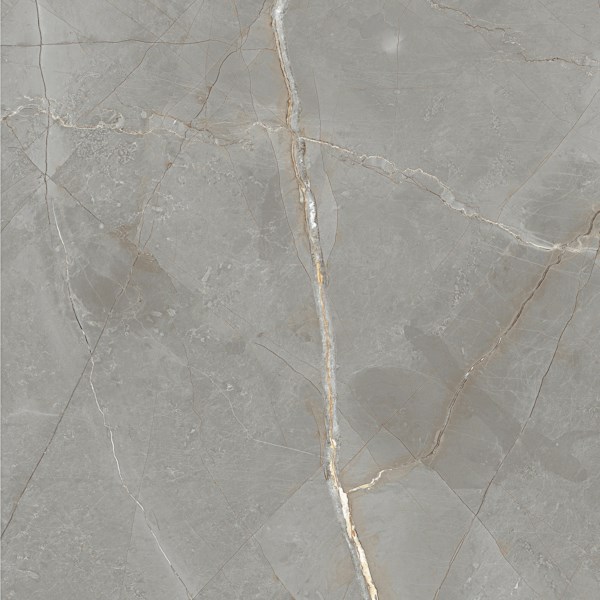 Dalle "Elton" Gris clair 120 x 120 cm