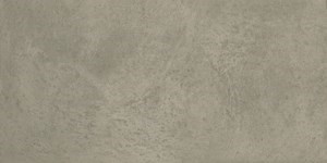 Dalle "ProStone" Gris foncé 30 x 60 cm