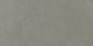 Dalle "Waldsee" Gris clair 30 x 60 cm