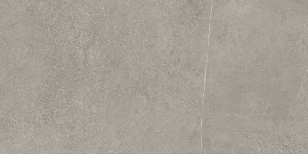 Bodenplatte "Duria" Silbergrau 60 x 120 cm