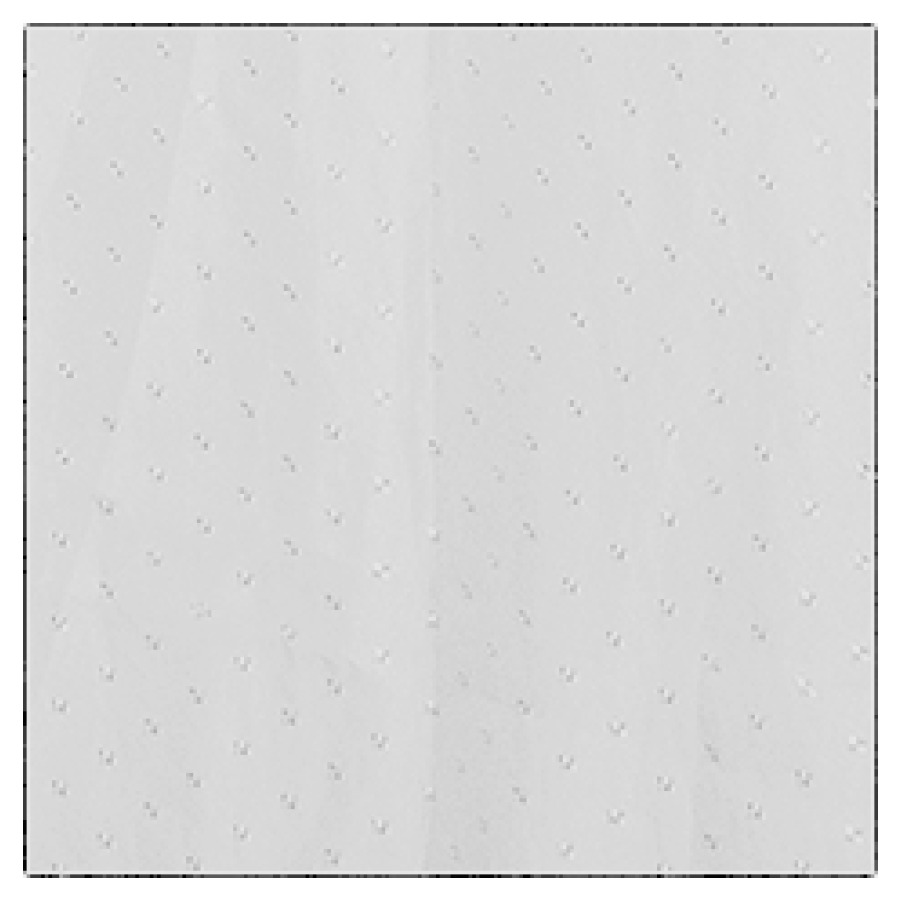 Tenda da doccia NOSAG 240 x 200 cm bianco