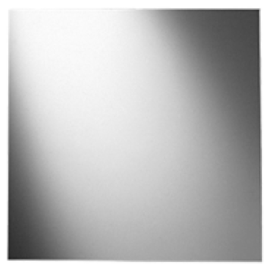 Specchio cristallo Procasa 5 mm, 60 x 60 cm senza colore