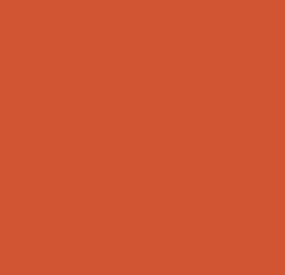 Plaque de sol "Purina" Orange 10 x 10 cm