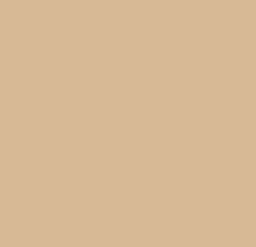 Dalle "Purina" Beige 10 x 10 cm