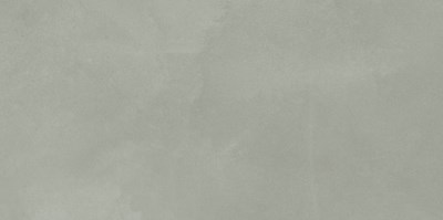 Dalle "Ronco" Gris clair 40 x 80 cm