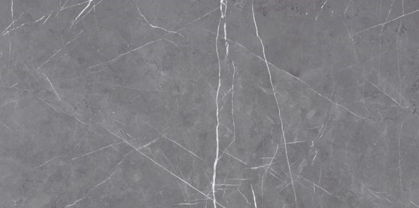 Dalle "Patrick" Gris foncé 60 x 120 cm