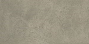 Dalle "ProStone" Gris foncé 30 x 60 cm