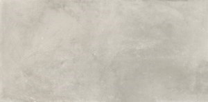 Dalle "ProStone" Gris clair 30 x 60 cm