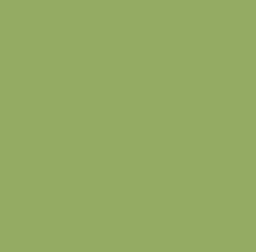 Dalle "Steinfurt" vert pomme 20 x 20 cm