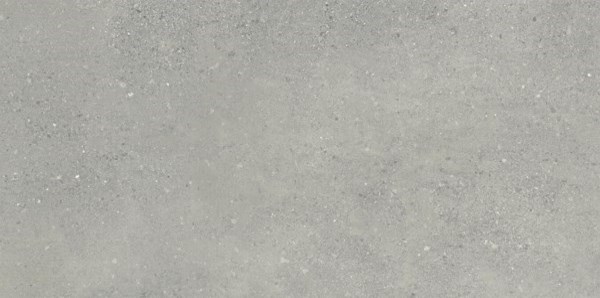 Dalle "Kriens" Gris moyen 60 x 120 cm