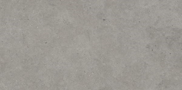 Dalle de terrasse "Engel" béton gris 60 x 120 cm