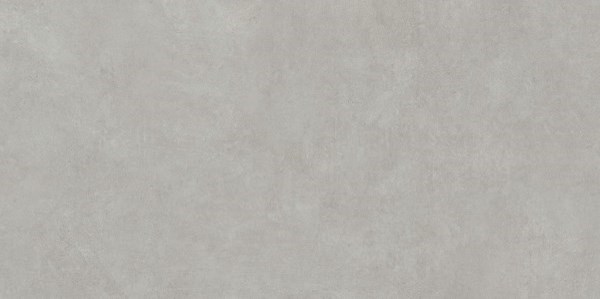 Dalle "Globus" Gris clair 60 x 120 cm