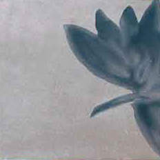 Bodenplatte "Eichberg" Grau 15 x 15 cm