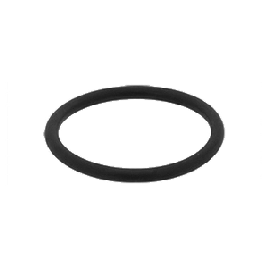 Guarnizione O-Ring D 19 13 mm, 95 x 2,62 mm, per bocca orientabile STAR senza colore