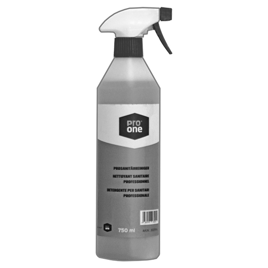 Detergente per sanitari ProOne 0.75l