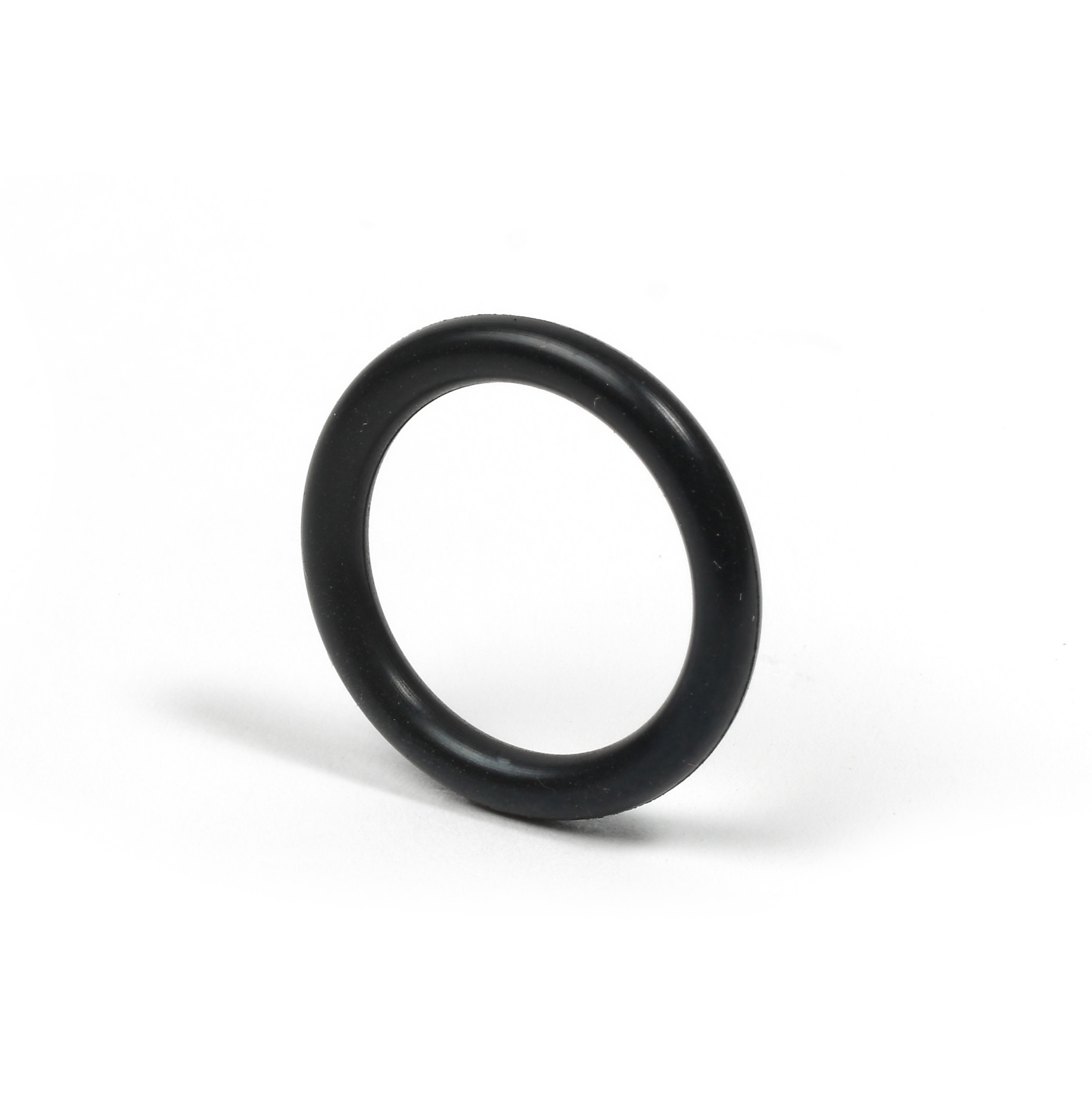 P51RN Joint O-Ring noir