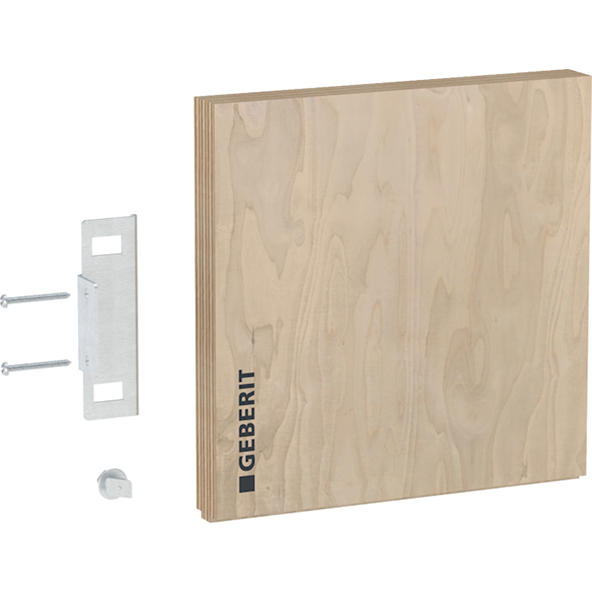 Plaque de montage Geberit GIS universelle, 25 x 25.4 cm