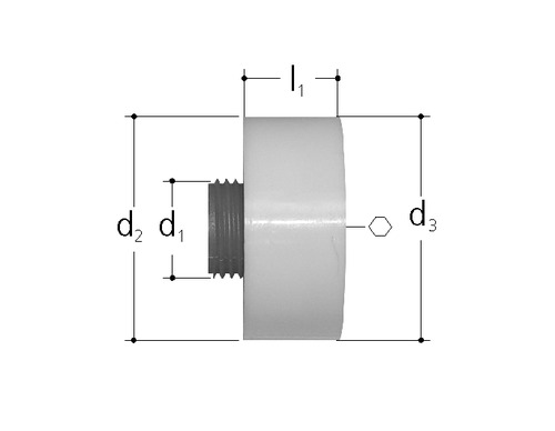 Bouchon de protection et d'essai d'étanchéité Plastique Pour boîtes GN 3/4 inch
