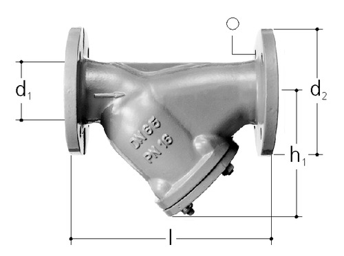 JRG Filtre oblique fonte grise Brides revêtues de plastique DN 65 mm