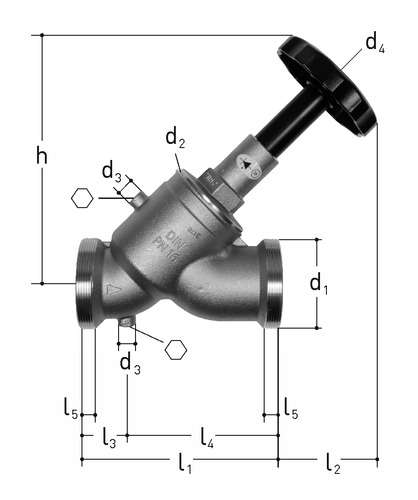 JRG LegioStop Soupape de retenue combinée avec robinet oblique bronze DN65 DN 65 mm