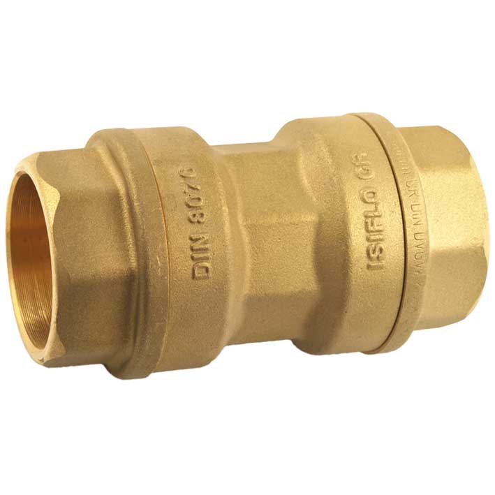 100 isiflo Raccord en laiton
