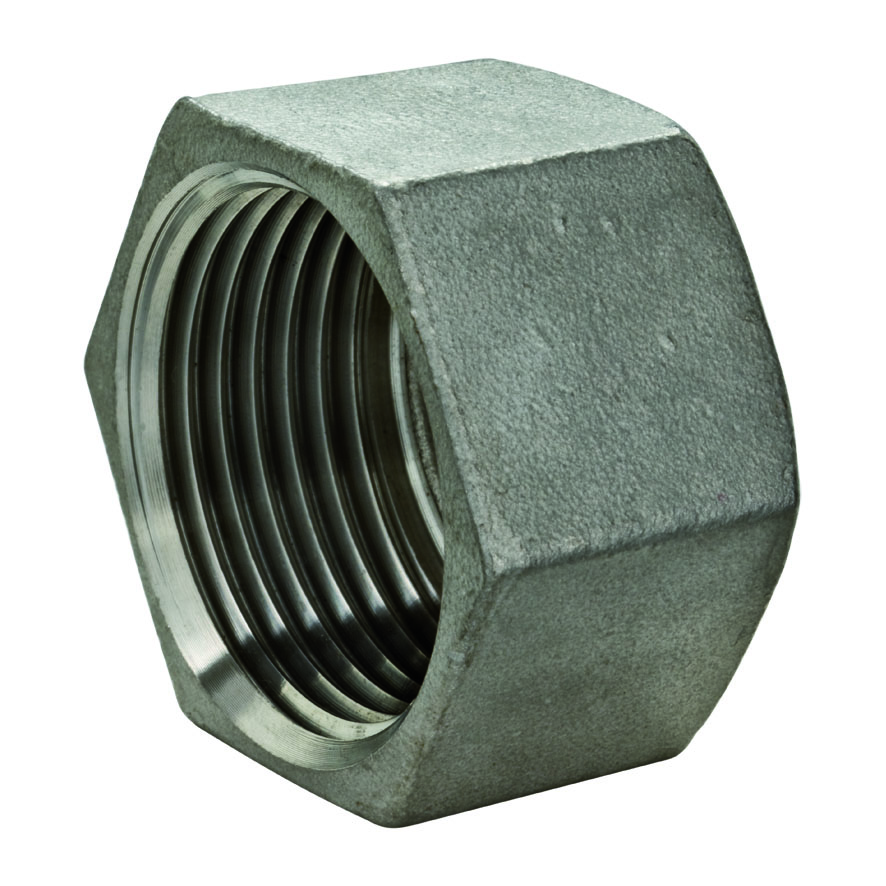Cape 8.0300, acier inoxydable