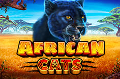 African Cats