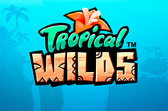 Tropical Wilds