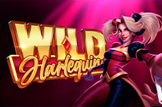 Wild Harlequin