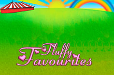 Fluffy Favourites