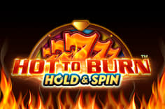 Hot to Burn Hold and Spin™