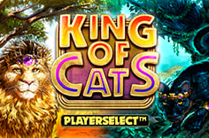 King Of Cats