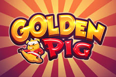 Golden Pig