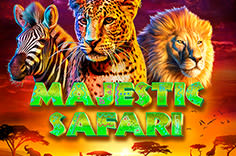 Majestic Safari