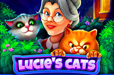 Lucie's Cats