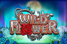 Wild Flower