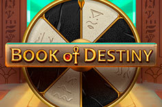 Book Of Destiny