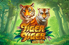 Tiger Tiger