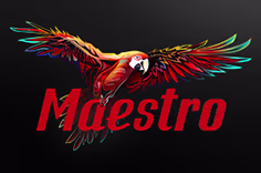 icon game for Maestro