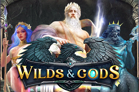 icon game for Wilds & Gods