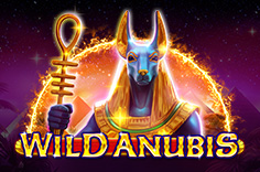 Wild Anubis