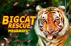 Big Cat Rescue MegaWays™