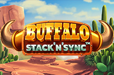 Buffalo Stack 'n' Sync
