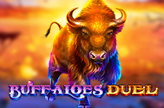 Buffaloes Duel