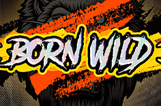 Born Wild