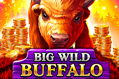 Big Wild Buffalo